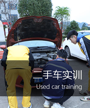 二手车实训