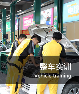 整车实训
